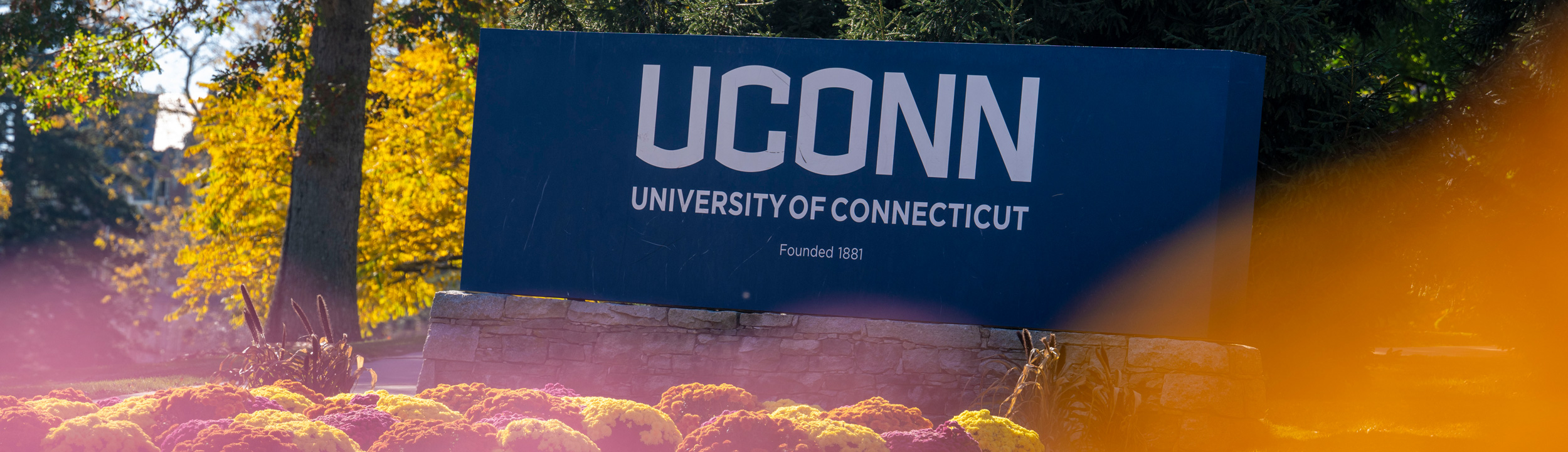 Blue signed with "UConn" logo in white, with fall colors in the foreground.